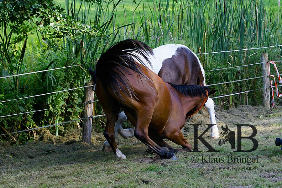 %_tempFileNameAgility-20120804-0517BAC%