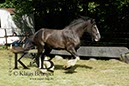 %_tempFileNameAgility-20120804-0333C%