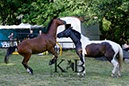 %_tempFileNameAgility-20120804-0589BC%