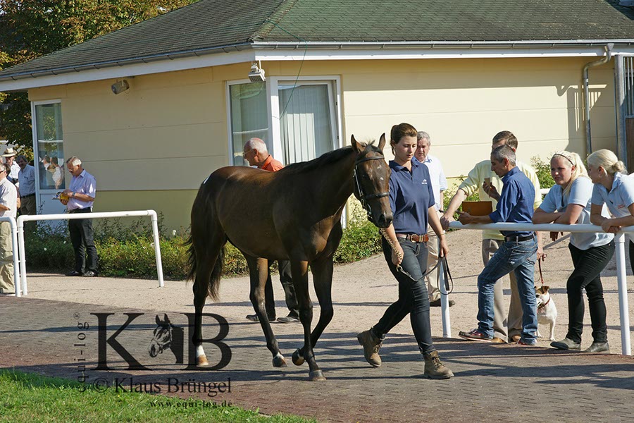 %_tempFileName2013-08-30-Iffezheim-0208BC%