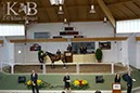 %_tempFileName2013-08-30-Iffezheim-0006BC%