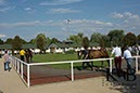 %_tempFileName2013-08-30-Iffezheim-0210BC%
