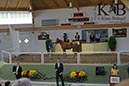 %_tempFileName2013-08-30-Iffezheim-0254BC%