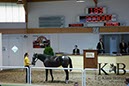 %_tempFileName2013-08-30-Iffezheim-0413BC%