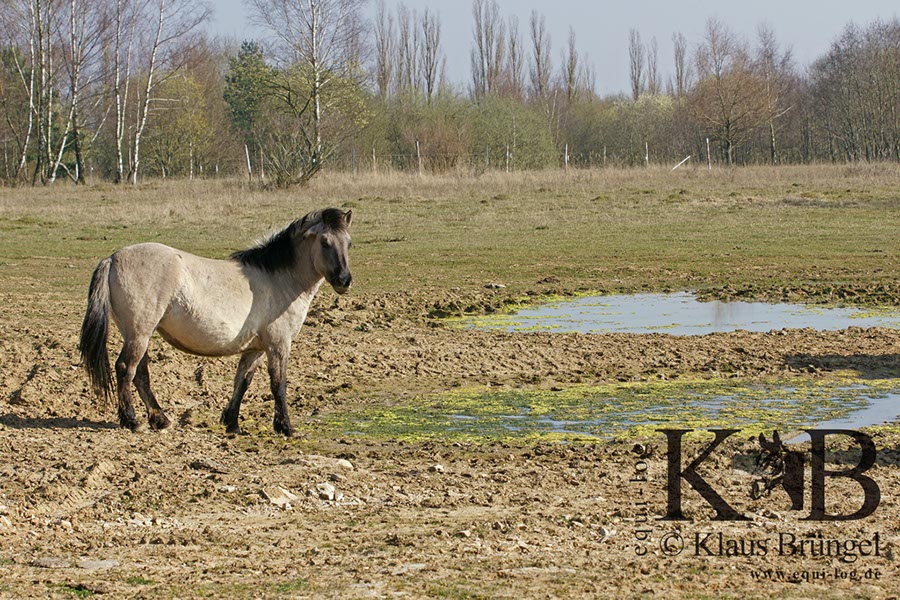 %_tempFileName2014-03-14-Schmidtenhoehe_0041BC%