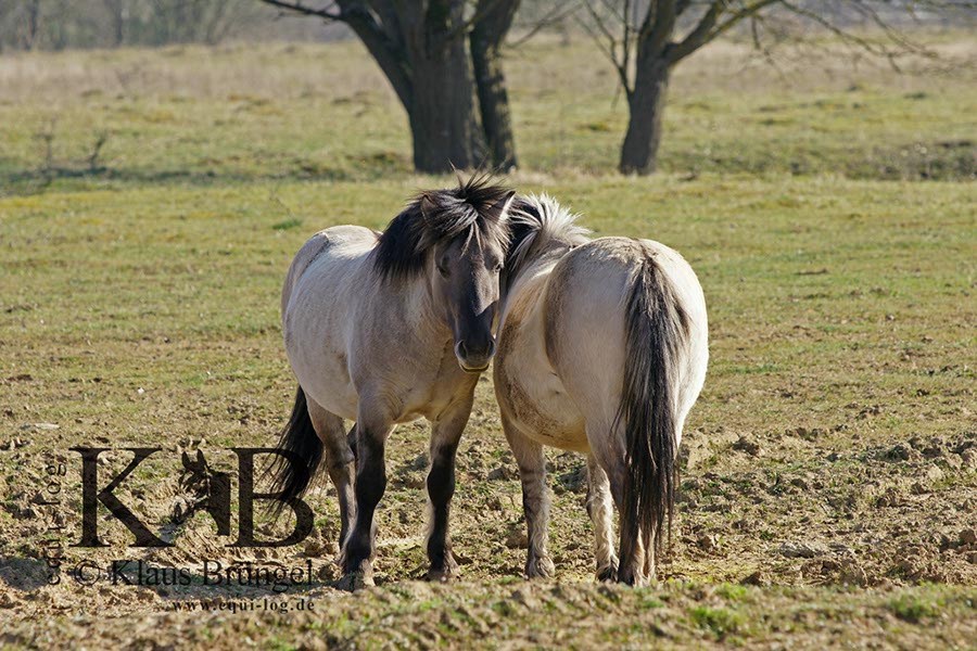 %_tempFileName2014-03-14-Schmidtenhoehe_0043BC%