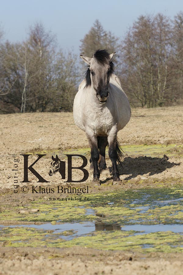 %_tempFileName2014-03-14-Schmidtenhoehe_0106BC%