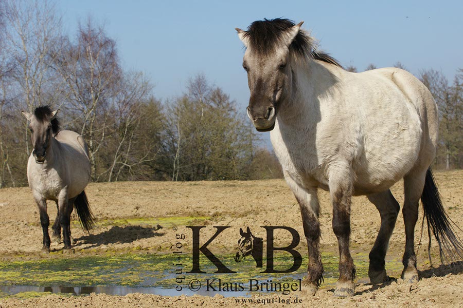 %_tempFileName2014-03-14-Schmidtenhoehe_0109BC%