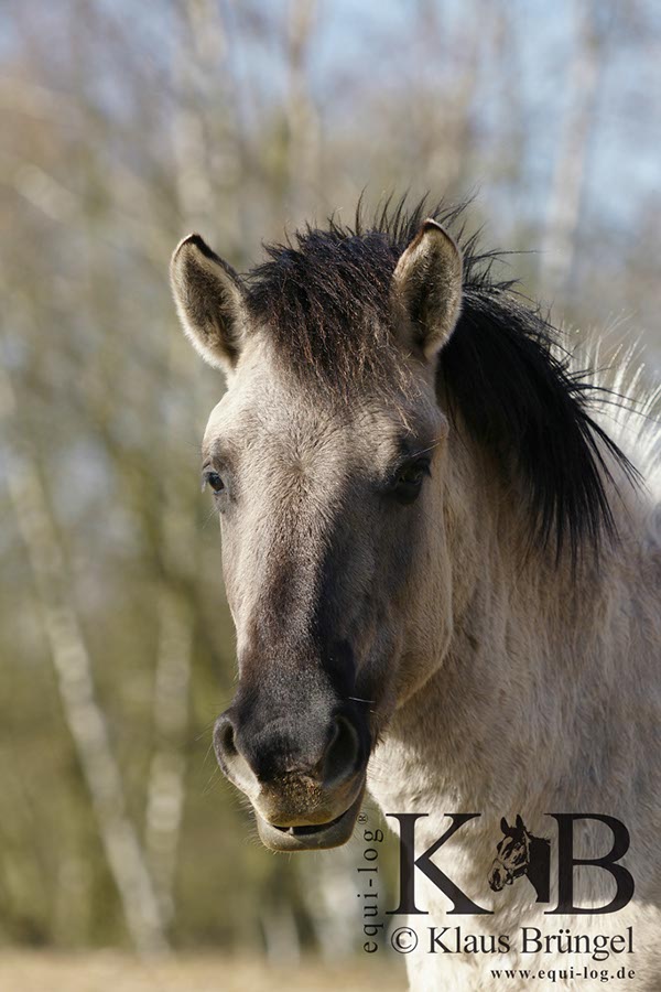 %_tempFileName2014-03-14-Schmidtenhoehe_0173BC%