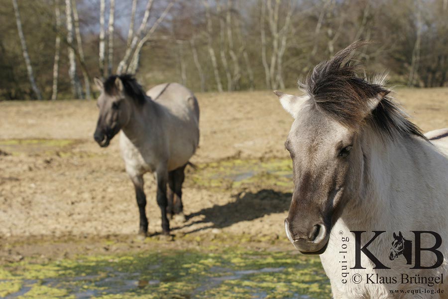 %_tempFileName2014-03-14-Schmidtenhoehe_0180BC%