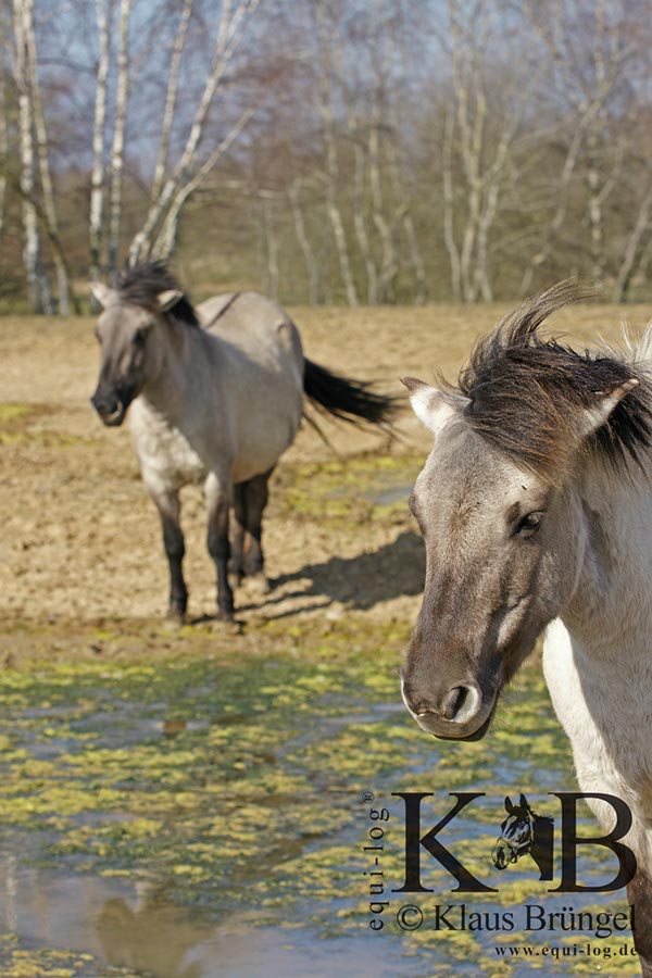 %_tempFileName2014-03-14-Schmidtenhoehe_0187BC%