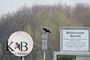 %_tempFileName2014-03-14-Schmidtenhoehe_0006BC%