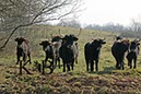 %_tempFileName2014-03-14-Schmidtenhoehe_0029BC%