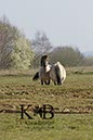 %_tempFileName2014-03-14-Schmidtenhoehe_0040BC%