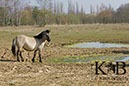%_tempFileName2014-03-14-Schmidtenhoehe_0041BC%