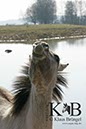 %_tempFileName2014-03-14-Schmidtenhoehe_0074BC%