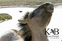 %_tempFileName2014-03-14-Schmidtenhoehe_0080ABC%