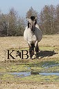 %_tempFileName2014-03-14-Schmidtenhoehe_0106BC%