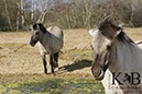 %_tempFileName2014-03-14-Schmidtenhoehe_0180BC%