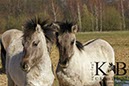 %_tempFileName2014-03-14-Schmidtenhoehe_0197BC%