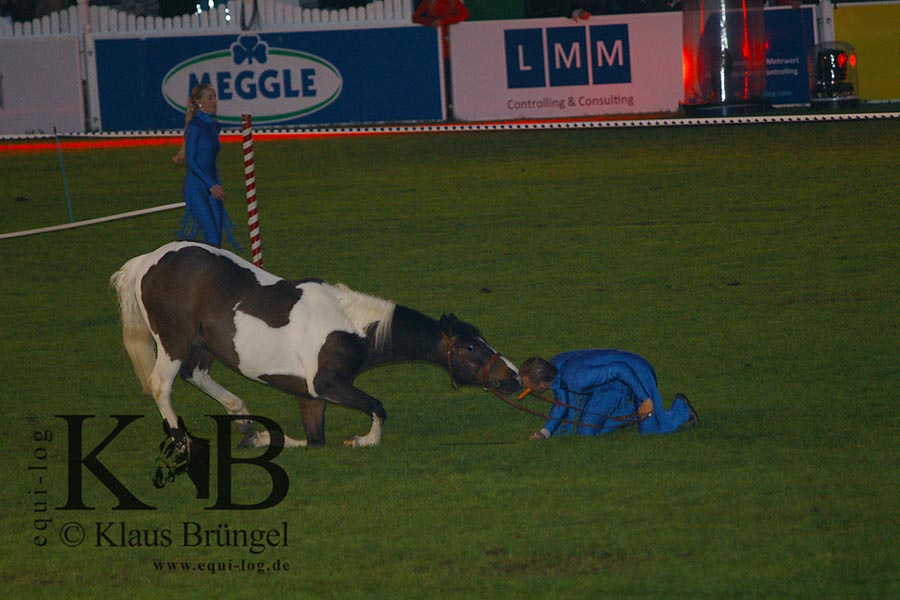 %_tempFileName2013-05-17-Wiesbaden-0219-BAC%