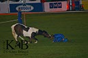 %_tempFileName2013-05-17-Wiesbaden-0219-BAC%