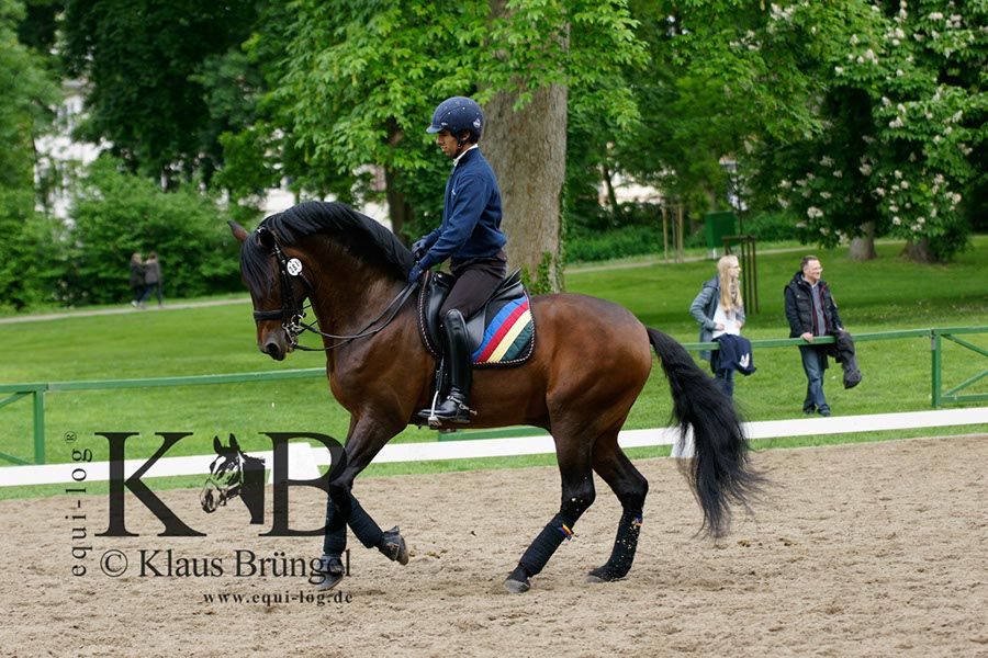 %_tempFileName2013-05-17-Wiesbaden-0033-BC%