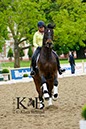 %_tempFileName2013-05-17-Wiesbaden-0009-BC%
