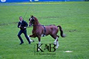 %_tempFileName2013-05-17-Wiesbaden-0122-BC%