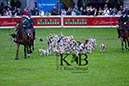 %_tempFileName2013-05-17-Wiesbaden-0139-BAC%