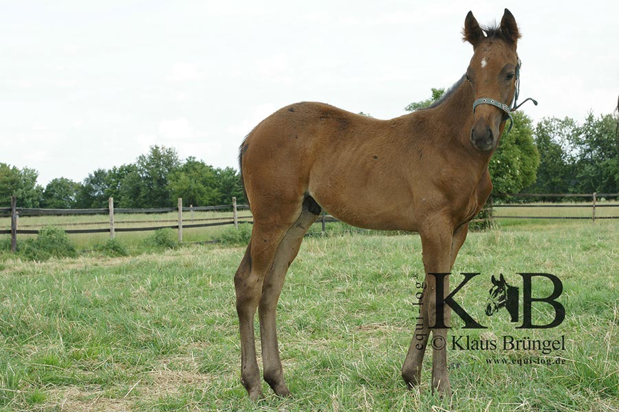 %_tempFileName2013-06-29-In-0494BAC%