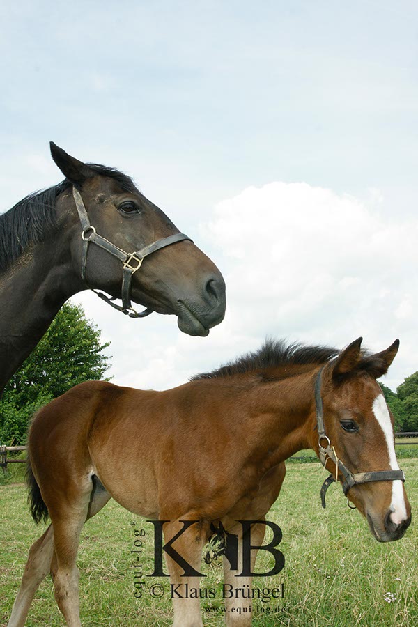 %_tempFileName2013-06-29-In-0505BC%