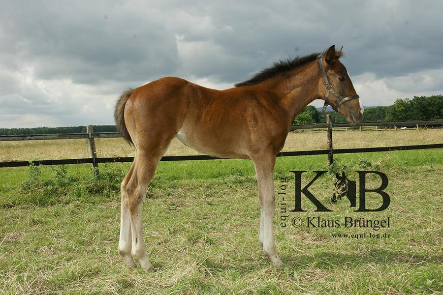 %_tempFileName2013-06-29-In-0507BAC%