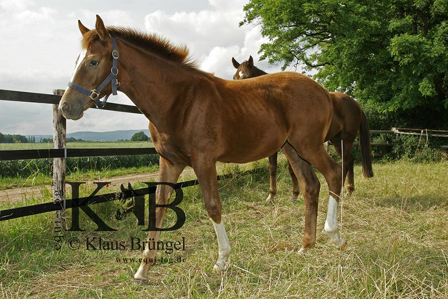 %_tempFileName2013-06-29-In-0547BC%