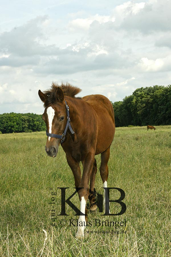 %_tempFileName2013-06-29-In-0564BC%