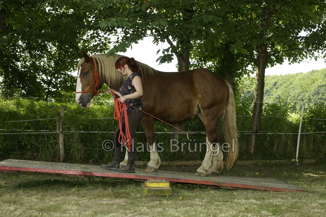 Agility_20120804_0073-Fr