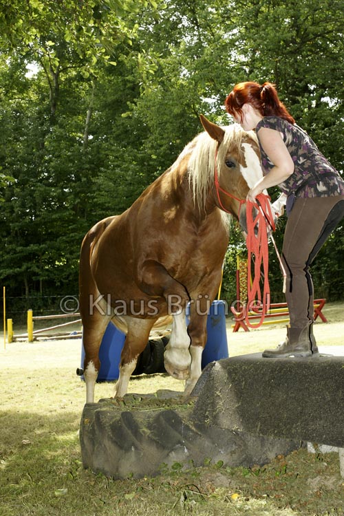 Agility_20120804_0083-Kor+Fr