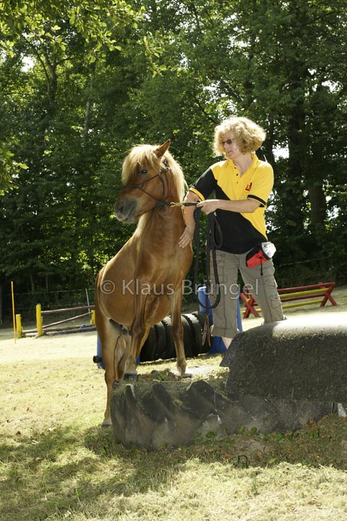 Agility_20120804_0209