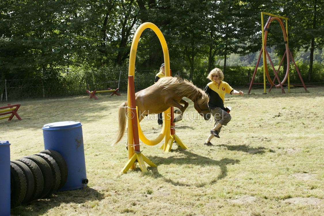Agility_20120804_0211-Kor