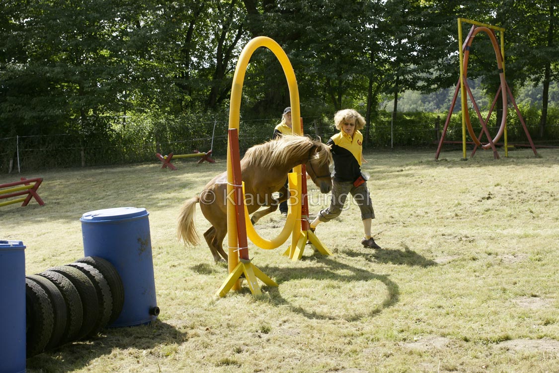 Agility_20120804_0212-Kor