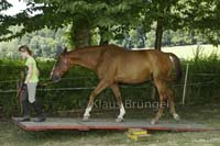 Agility_20120804_0002-Fr