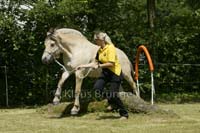Agility_20120804_0008-Kor+Fr