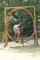 Agility_20120804_0178