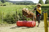 Agility_20120804_0202-Kor