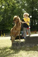 Agility_20120804_0209