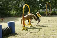Agility_20120804_0211-Kor