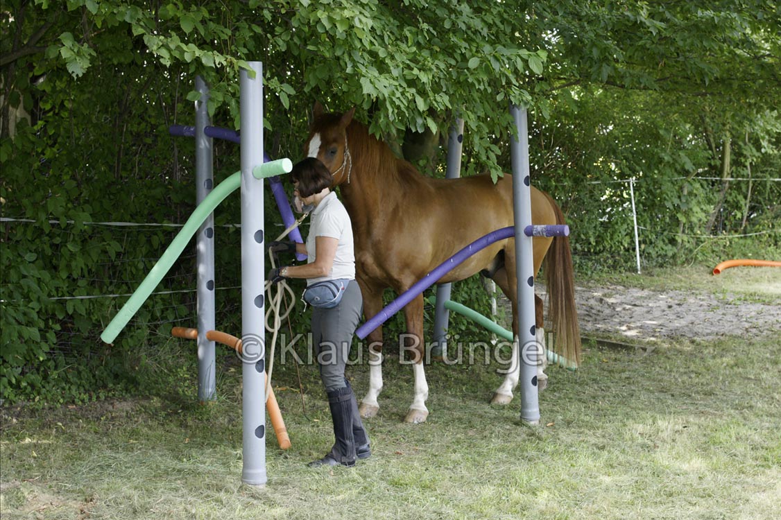 Agility_20120804_0233-Fr