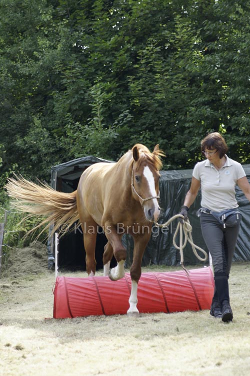 Agility_20120804_0246