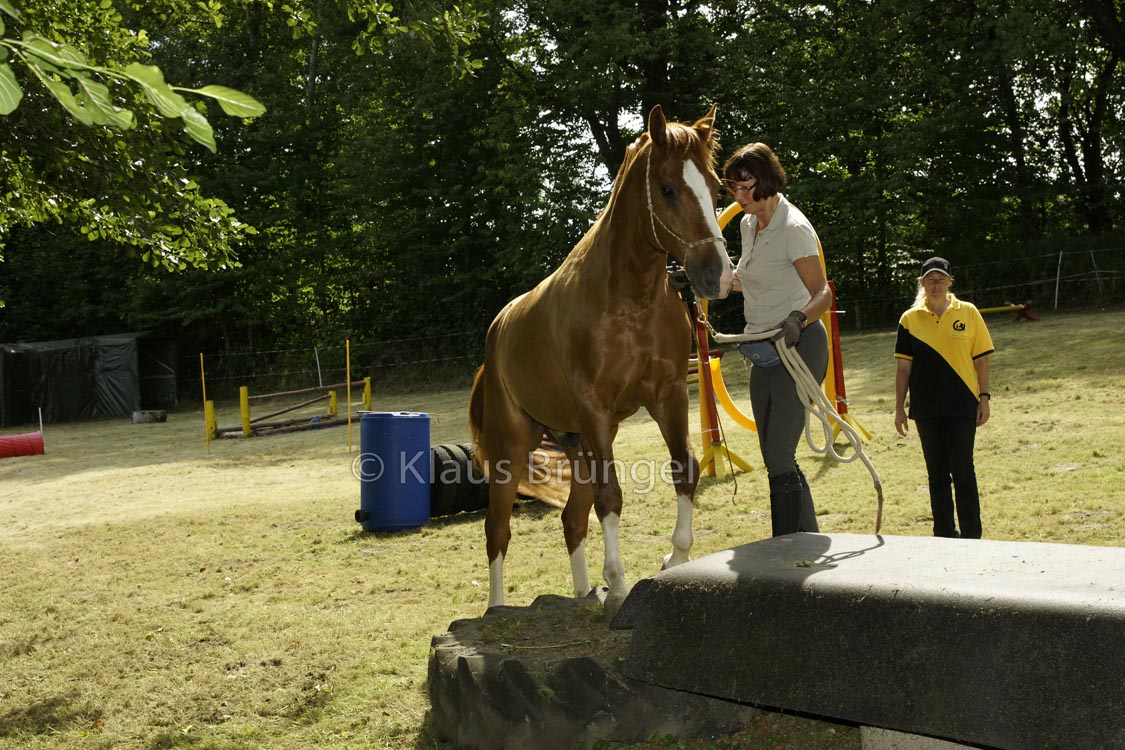 Agility_20120804_0252