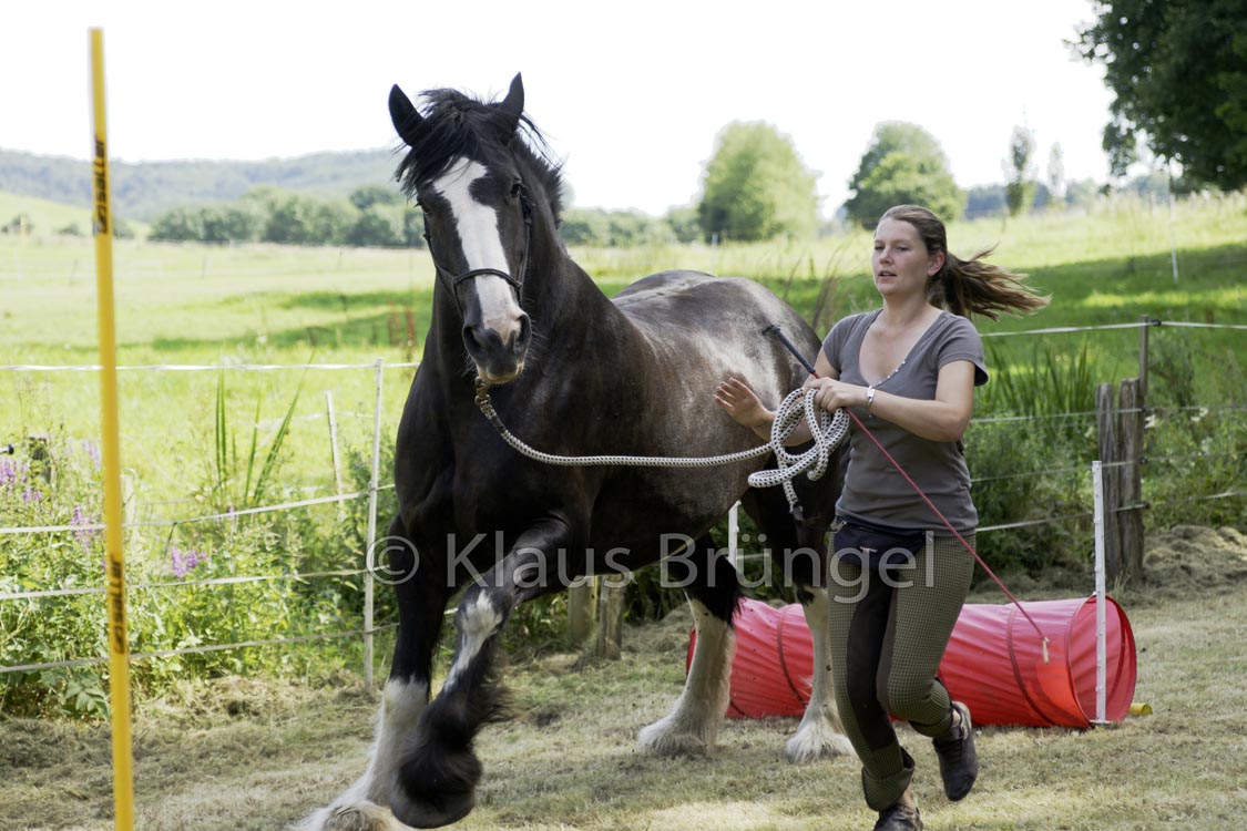 Agility_20120804_0266-Kor